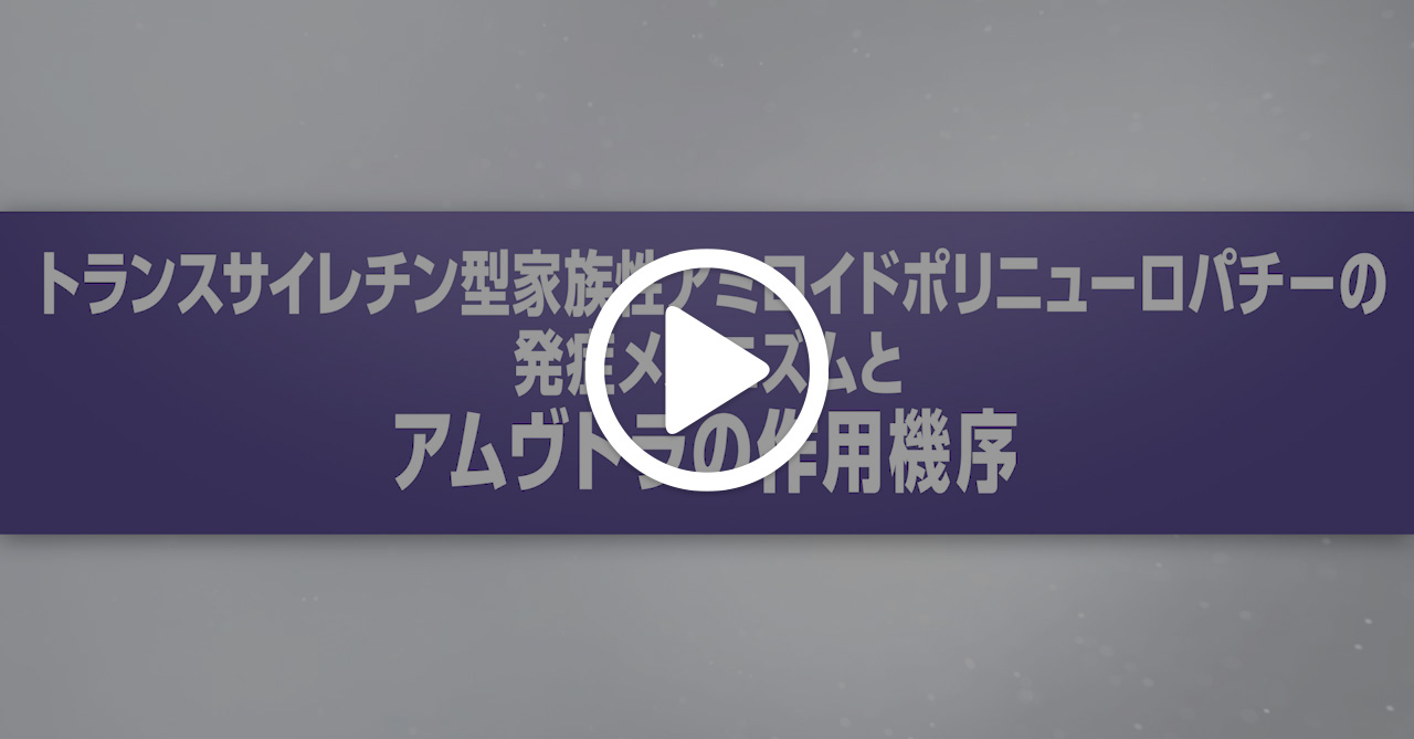 トランスサイレチン型家族性アミロイドポリニューロパチーの発症メカニズムとアムヴトラの作用機序