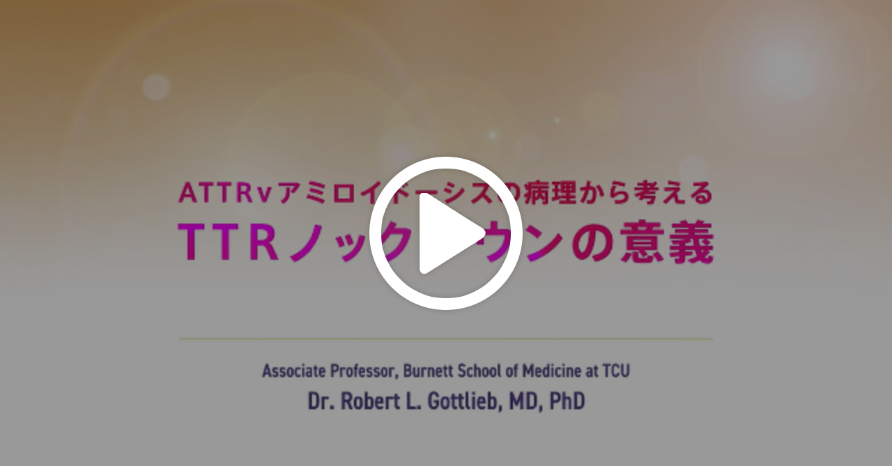 ATTRvアミロイドーシスの病態から考えるTTRノックダウンの意義