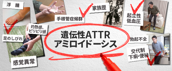 遺伝性ATTRアミロイドーシス.jp